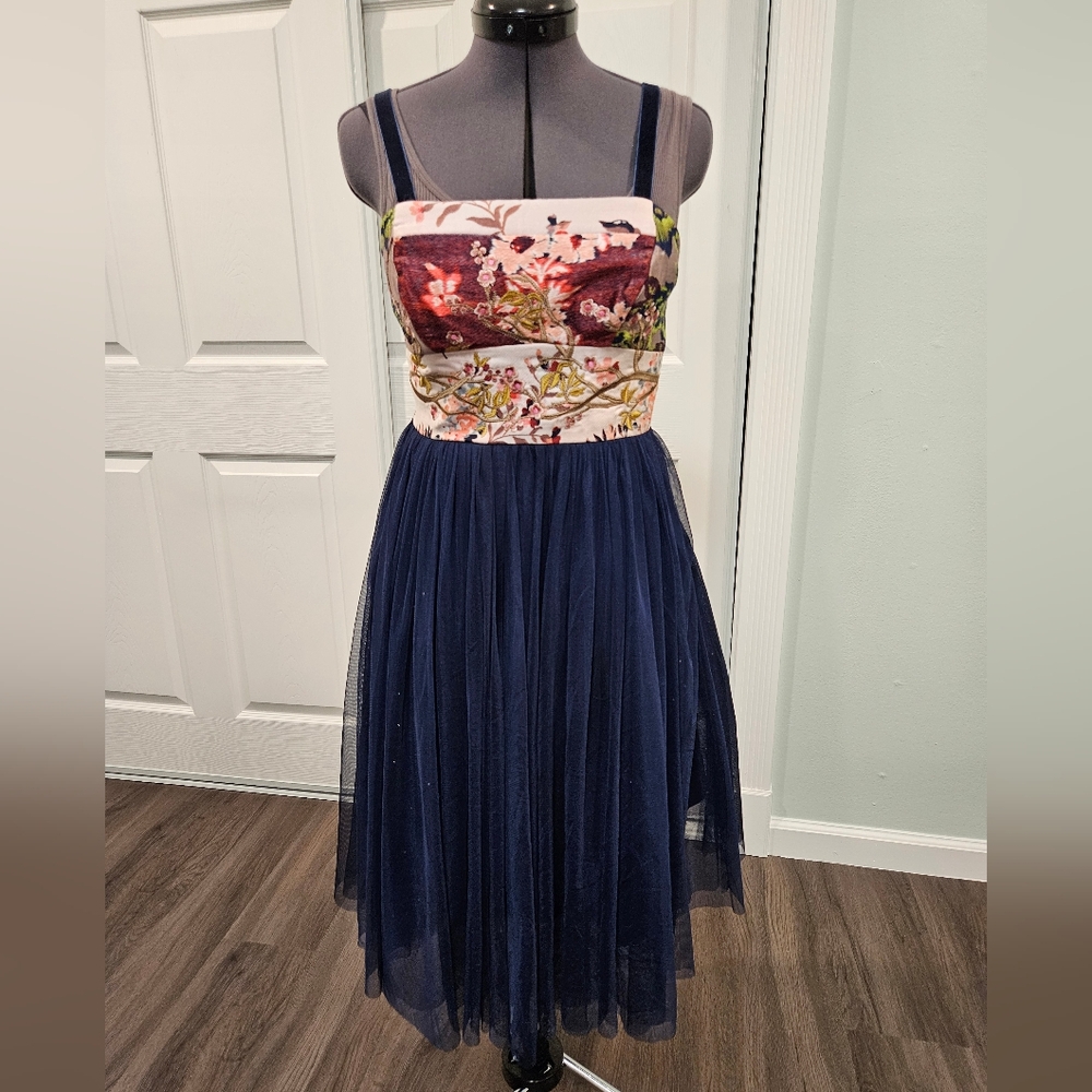 Anthropologie Moulinette Soeurs Tulle and Embroidered Floral dress size 0P